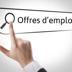 OFFRE D’EMPLOI: AGENT.E DE LIAISON