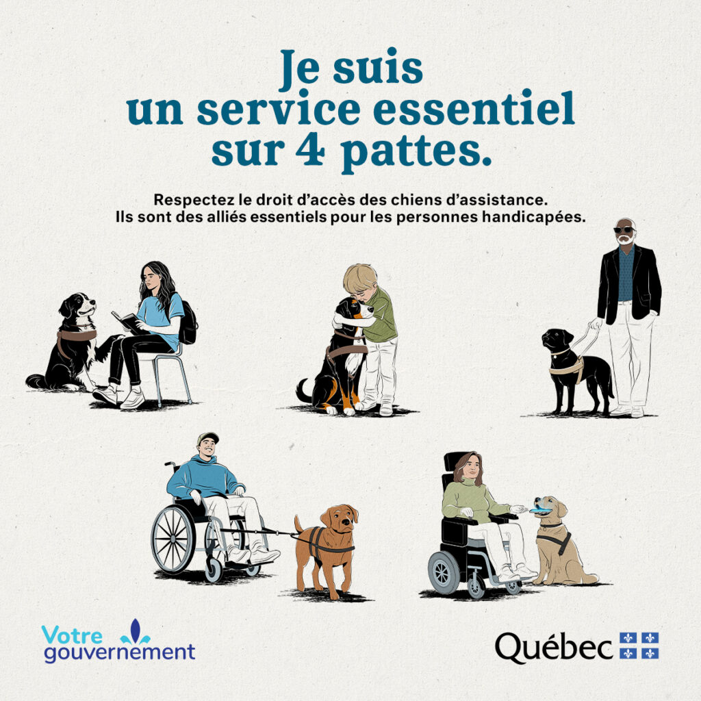 Je suis un service essentiel sur 4 pattes. Respectez le droit d’accès des chiens d’assistance. Ils sont des alliés essentiels pour les personnes handicapées.

Signature gouvernementale : Votre gouvernement, gouvernement du Québec.